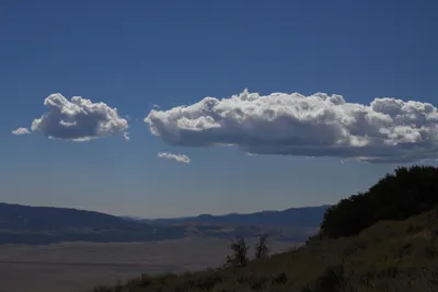 DSC_2275 (Large).JPG